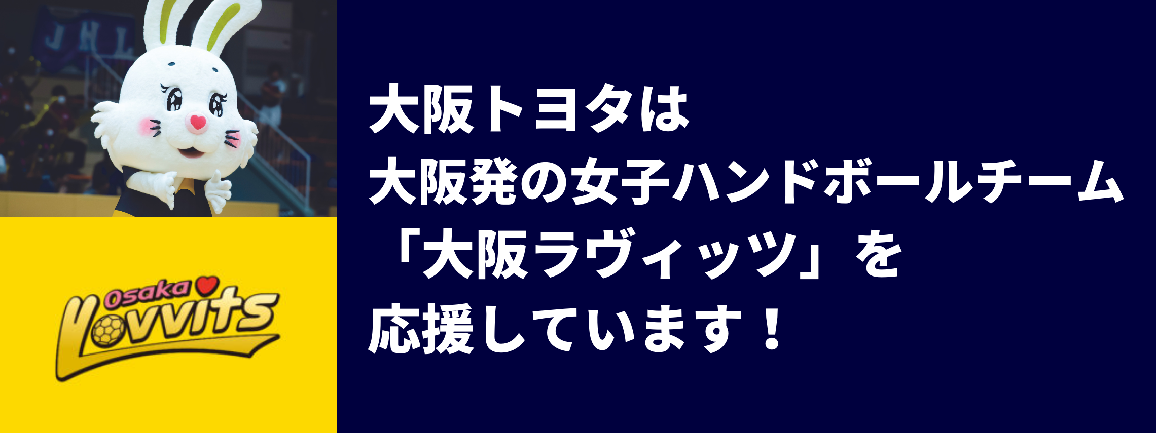 大阪ラヴィッツ応援バナー